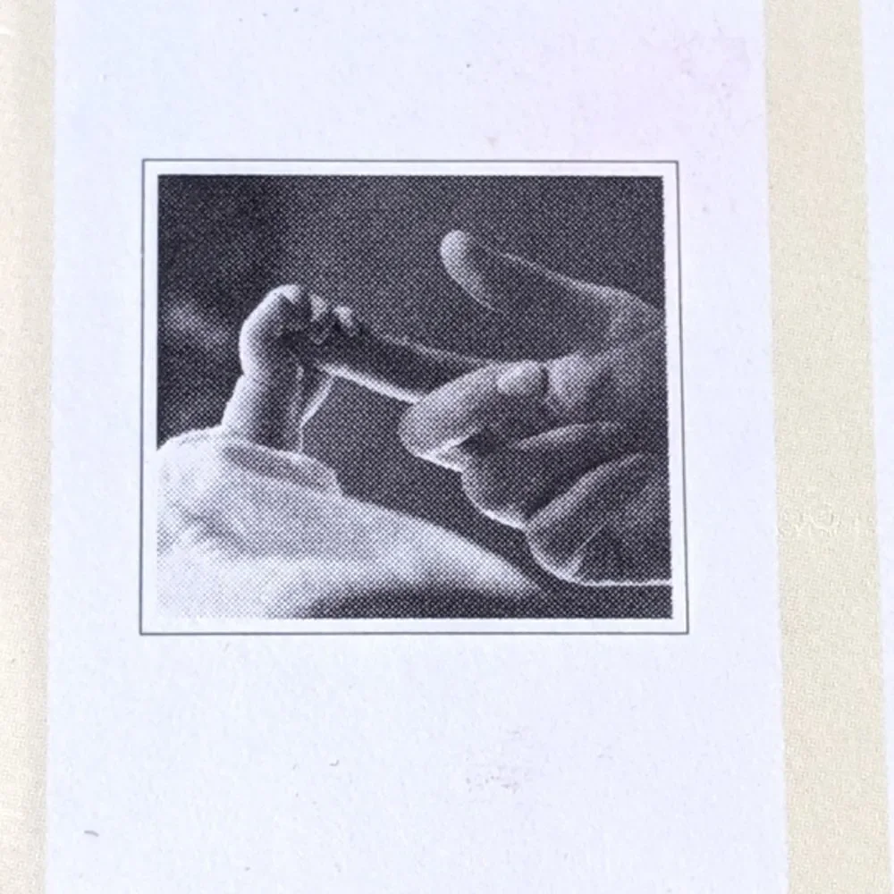 Rondal Partridge Photography Parent & Child Note Cards With Envelopes New In Box